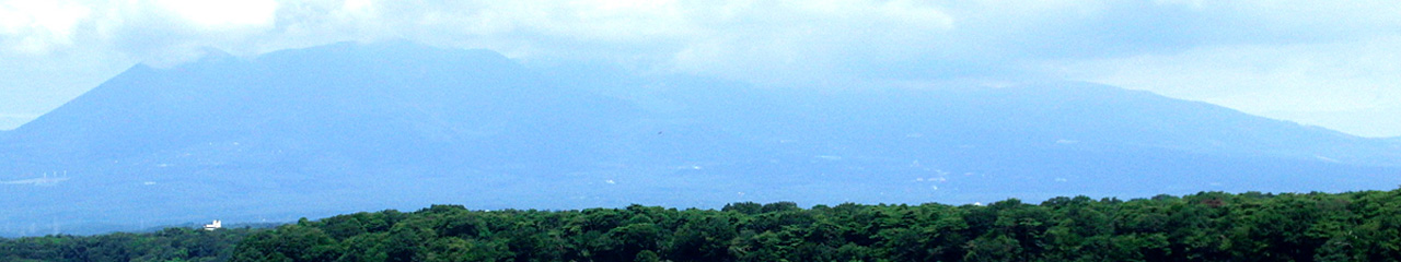 �I���o�[�g���[�h�@�����N