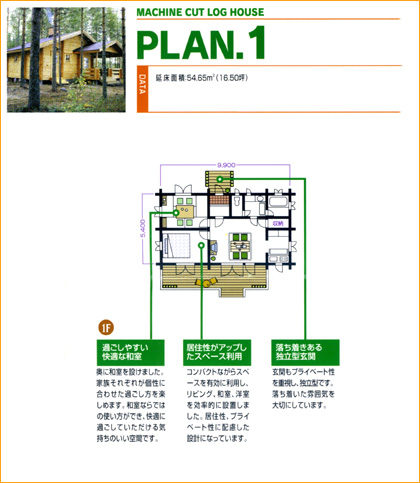 �v�����P