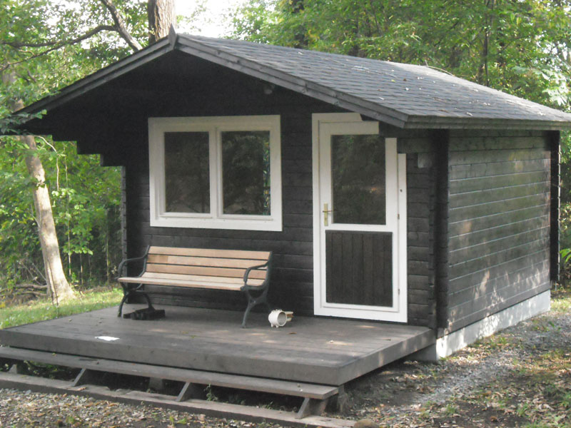 �t�B�������h�{�H��(�ߐ{��S�l�@)