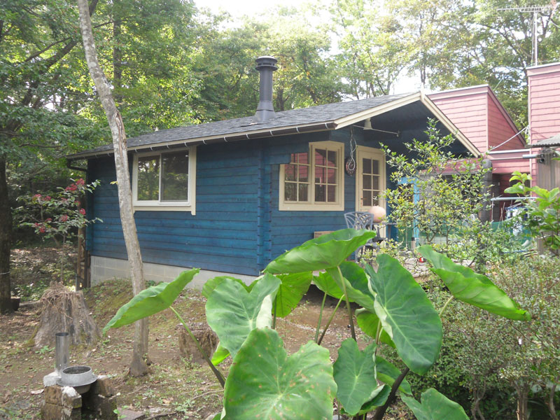 �t�B�������h�{�H��(�ߐ{��B�l�@)