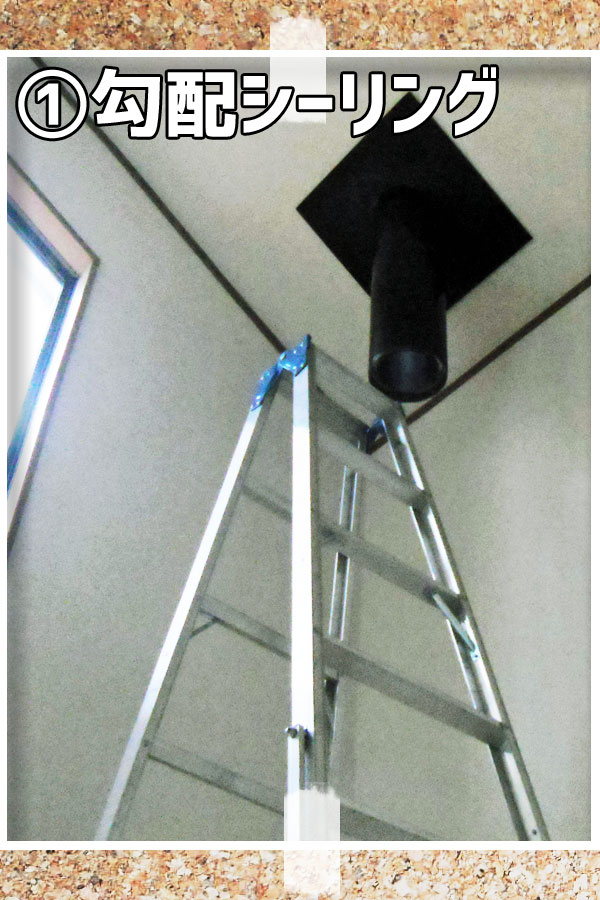 ���z�V�[�����O